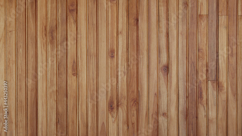wood  texture background photo