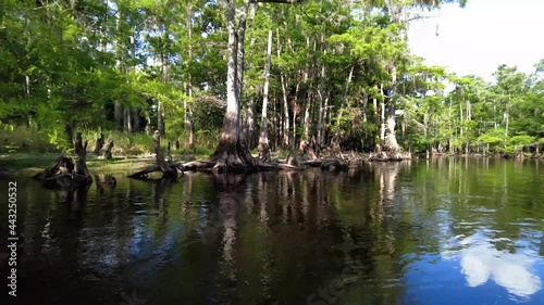 Kayaking on Fisheating Creek, Florida on calm sunny summer afternoon 4K.