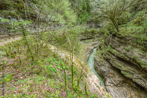 Narrow gauge railway in the deep narrow Guam canyon. Western Caucasus.