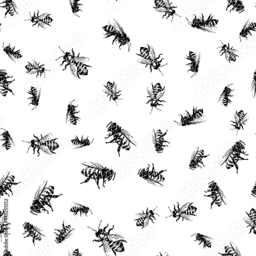 big honey bee, big wasp, small funny bee insects illustration. Seamless pattern