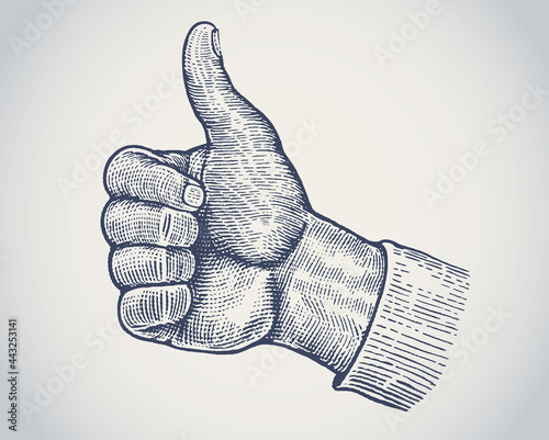 Hand (drawn in a graphic style) with a raised thumb up, as a symbol of expressing positive emotions.