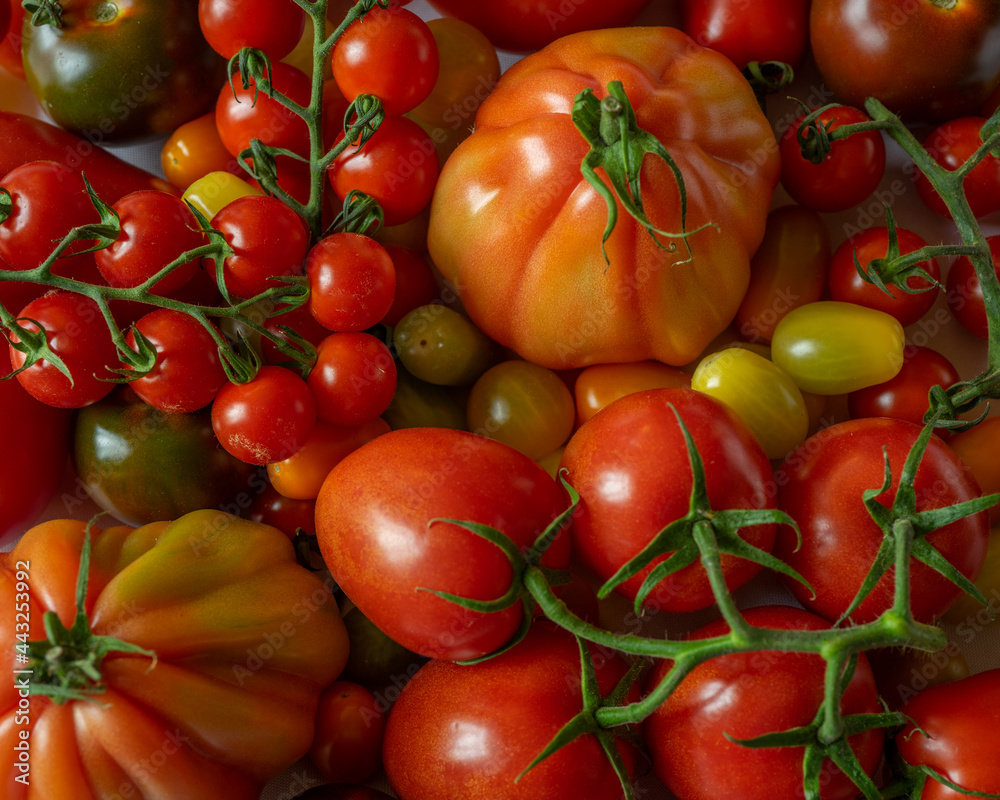 mix of different kind of tomatoes