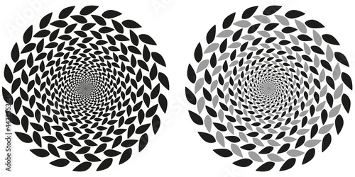 CERCLES DE FEUILLES TRESSÉES