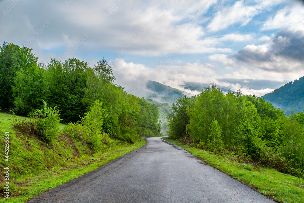 road leading to the mountains and forest which are covered with morning fog and blue sky in the clouds.