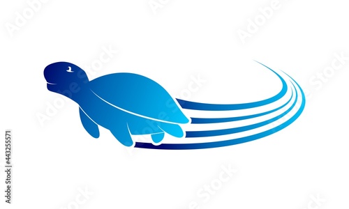 Fast turtle logo design