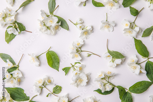 Photo Pattern of bud jasmine and leaves scattered on a gary  background, overhead view