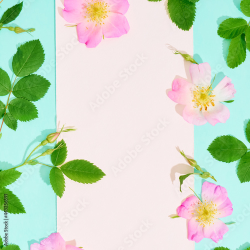 Blank paper for text with frame of wild rose flowers on blue background.