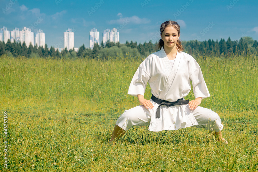 teen girl practicing karate kata outdoors in kiba-dachi stance teen girl practicing karate kata outdoors in kiba-dachi stance