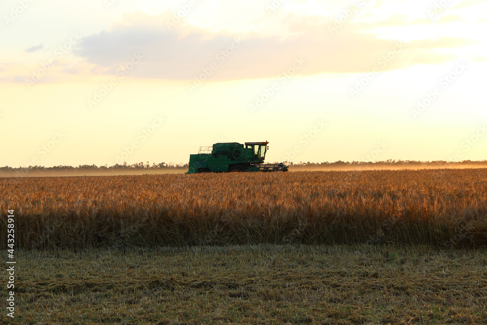 Combine harvester on an agricultural field against the backdrop of the setting sun