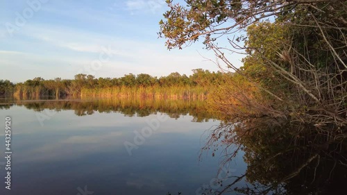Afternoon kayaking on Nine Mile Pond in Everglades National Park, Florida on calm summer day 4K.