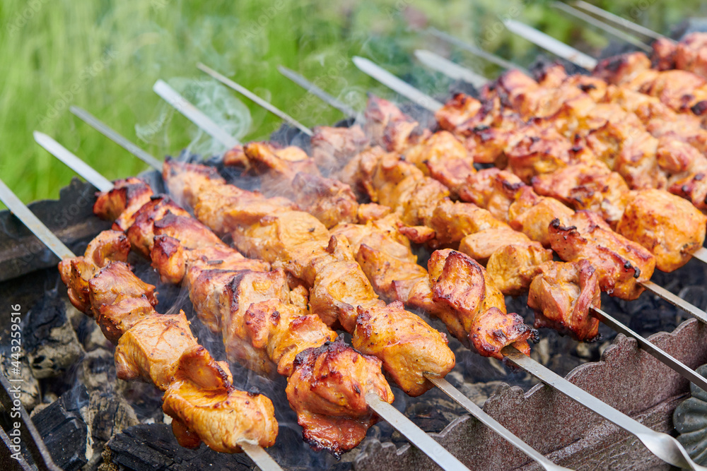 Pieces of delicious barbecued meat on skewer cooking on hot coals. Roast pork meat cooked on grill. Barbecue party on the nature. Close up view.