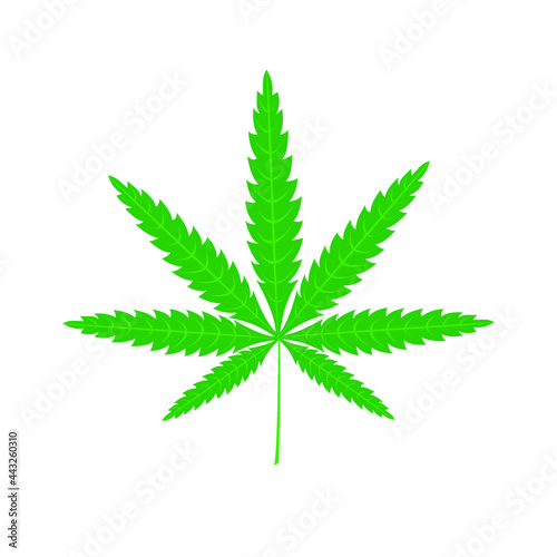 Cannabis leaf icon isolated on a white background
