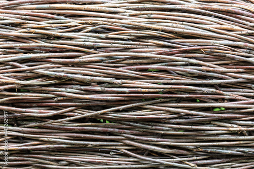 Wicker tree branches as an abstract
