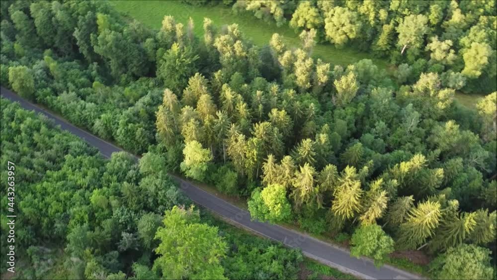 Clip Landstraße mit Bäumen und Auto von oben
