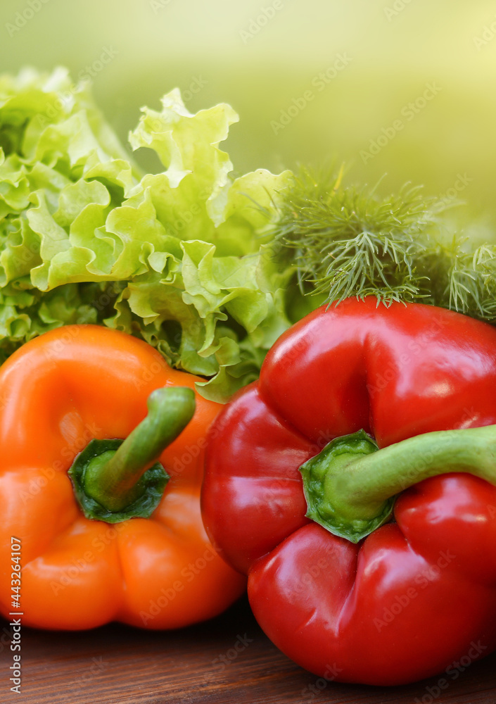 Colorful sweet bell peppers, salad, dill on wooden background.Healthy vegetarian food.Vegetarian eating concept. Copy space for text Colorful sweet bell peppers, salad, dill on wooden background.Healthy vegetarian food.Vegetarian eating concept. Copy space for text