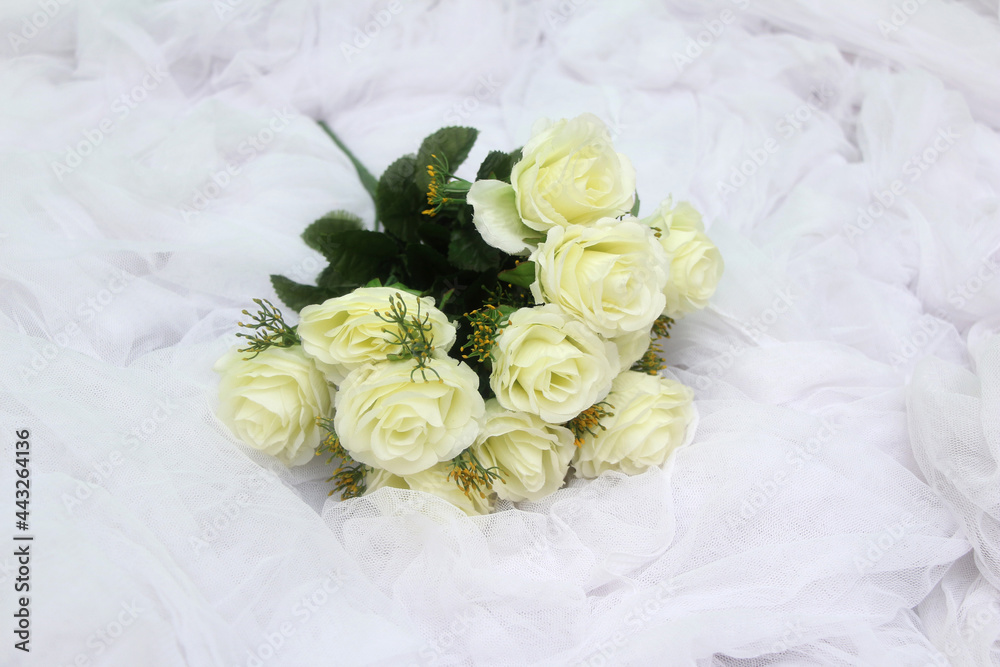 white rose on white cloth white rose on white cloth