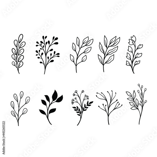 Set of floral elements. Flower, Hand sketched vector vintage elements