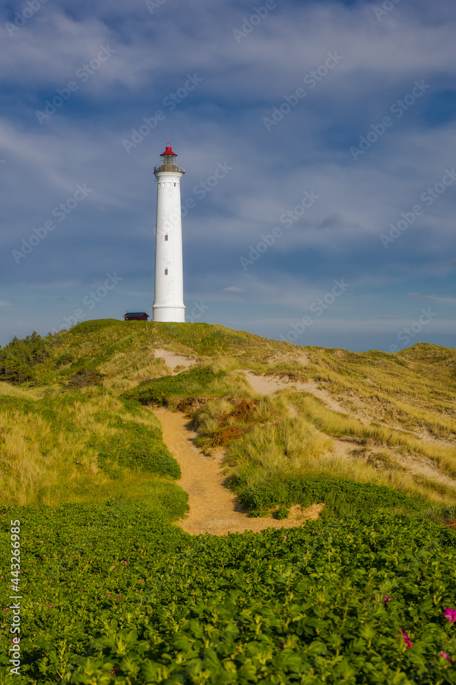 lighthouse Lyngvig Fyr on the coast of denmak