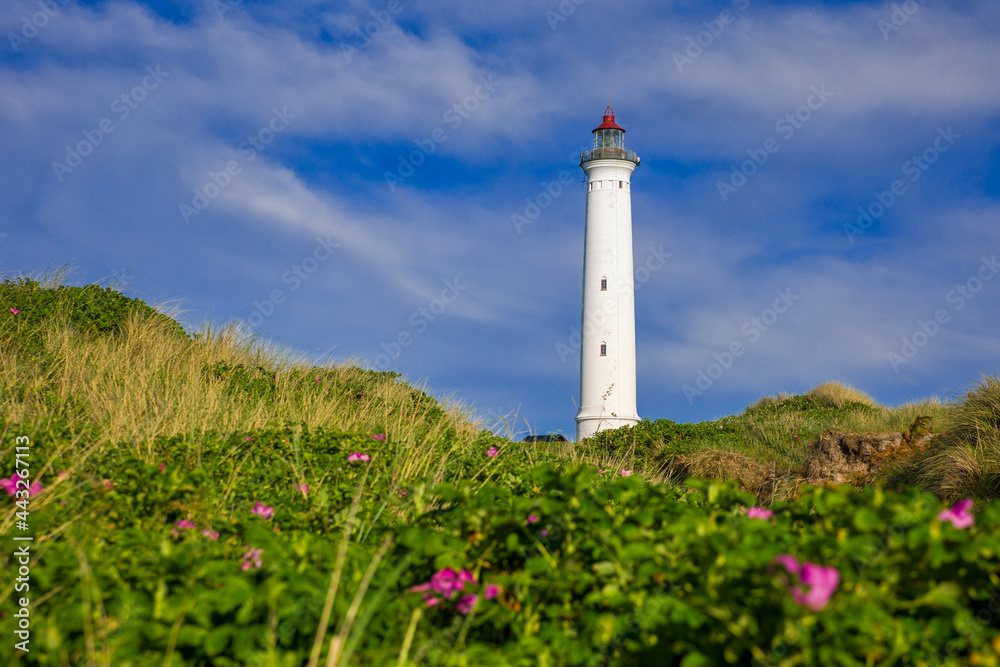 lighthouse Lyngvig Fyr on the coast of denmak