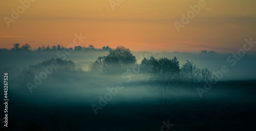 Cool, misty morning in the summer. Sunrise landscape with a mist. Summertime scenery of Northern Europe.