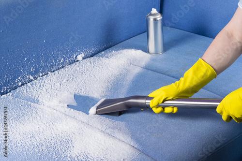Bild auf Leinwand cleaning upholstered furniture upholstery with chemicals and a vacuum cleaner