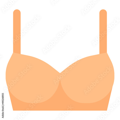 bra flat icon