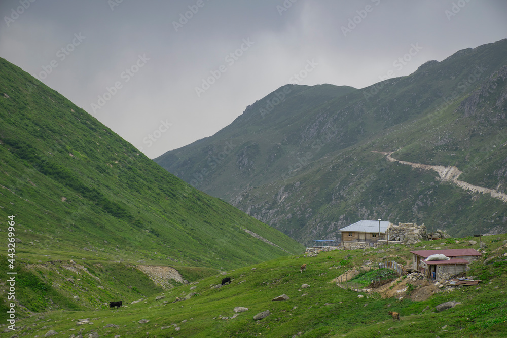 Avusor or Avusör is a plateau in the Çamlıhemşin district of Rize province. It is at an altitude of 2700 and houses around 300 houses.