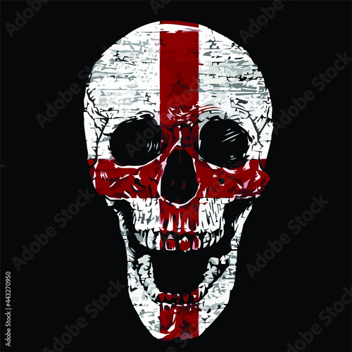 england skull flag bones wo design vector illustration for use in design and print poster canvas