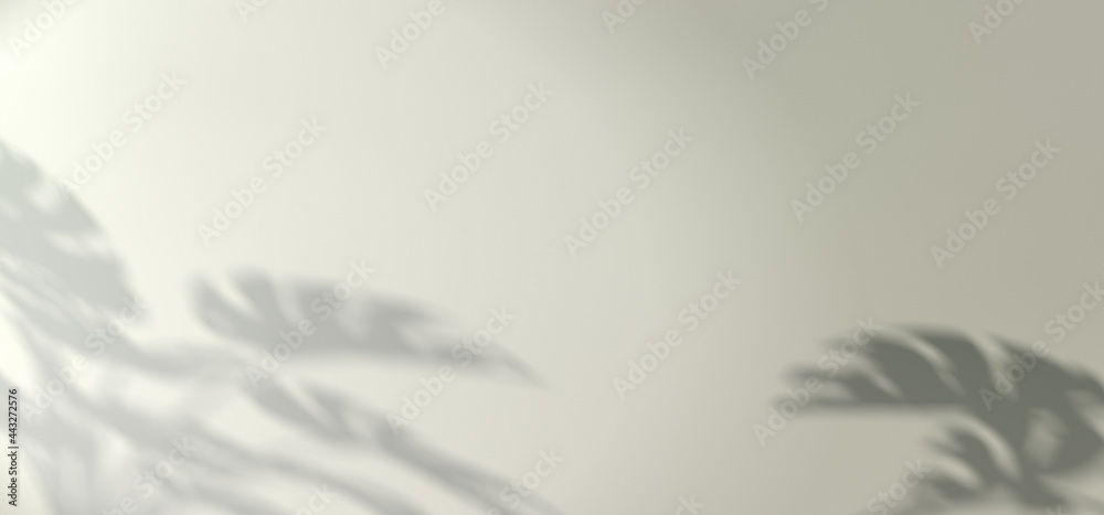 Shadow background of tropical monstera leaves Shadow background of tropical monstera leaves