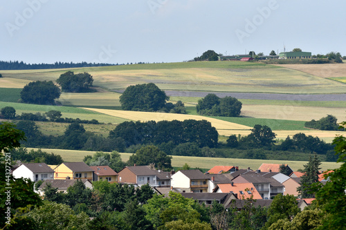 felderlandschaft bei kirchheimbolanden