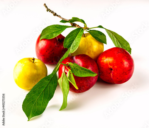 Ripe plum fruits on white background