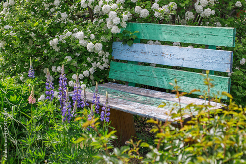 Old dilapidated bench in the summer garden. Camping on a sunny day in June. Vintage Russian dacha.