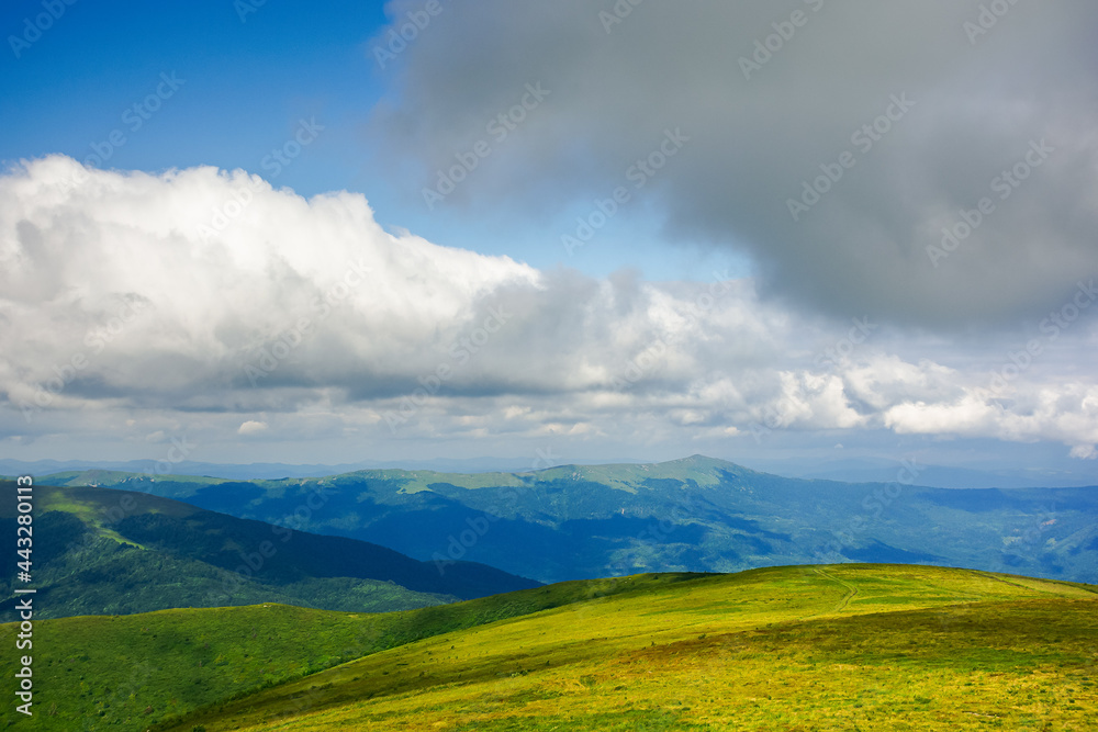 mountain meadow in the afternoon light. beautiful landscape with clouds above horizon. wonderful nature background.