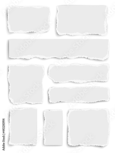 Vector vertical set of paper different shapes scraps isolated on white