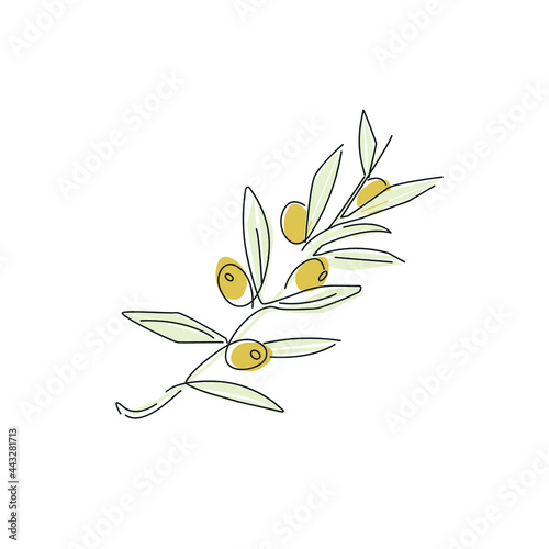 Olive branch linear style. Olive fruit on a white background. Contour lines of olives