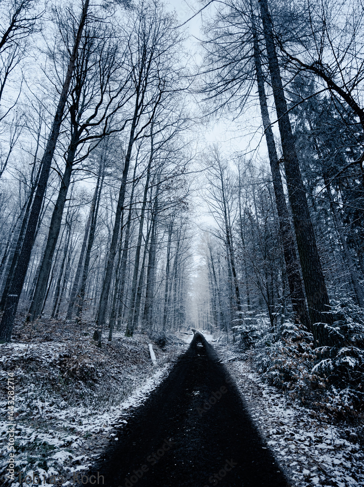 Naklejka premium Winterway