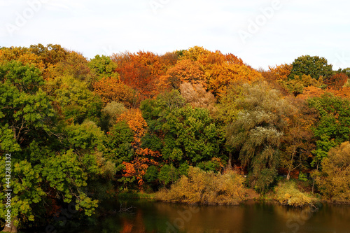 there are many red trees growing along the river. yellow and green side view . autumn colors