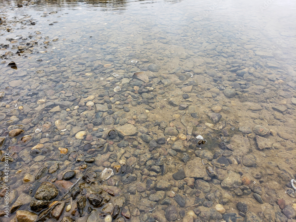 Rocky stream bed Rocky stream bed