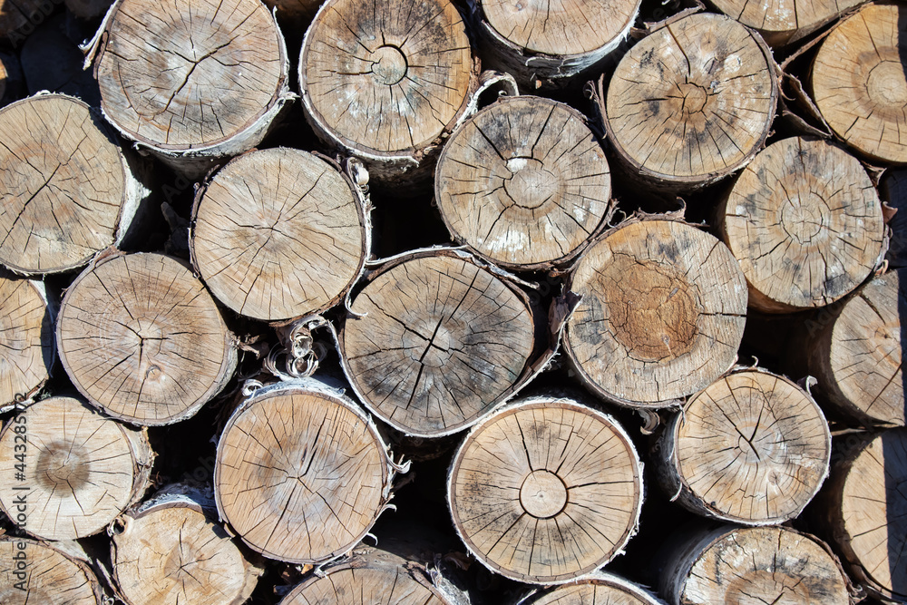 Background of sawn logs. Wooden background Background of sawn logs. Wooden background