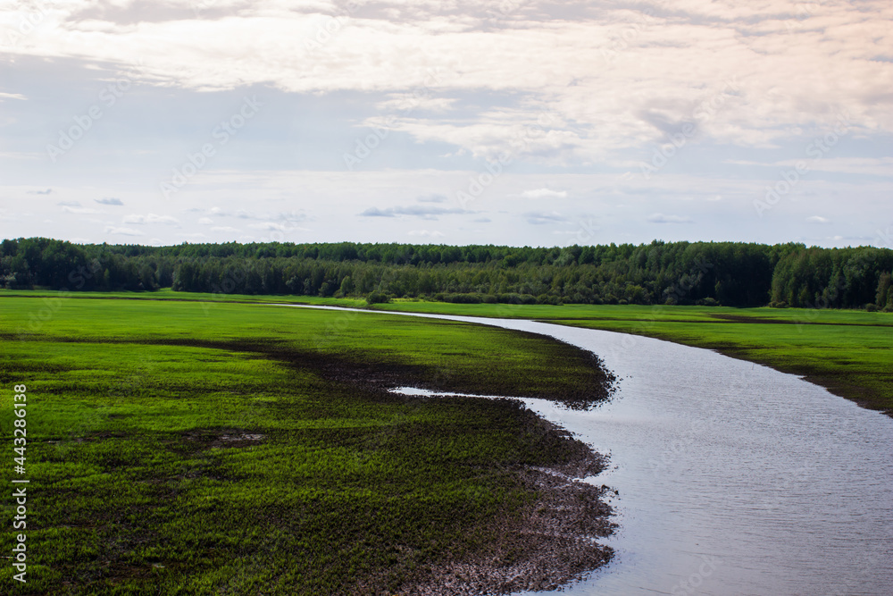 Beautiful landscape of the taiga. A big river in the forest Beautiful landscape of the taiga. A big river in the forest