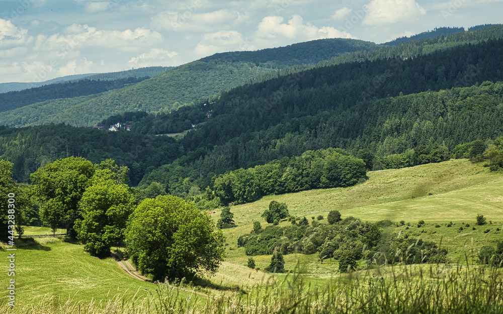 Obraz premium Südwestlicher Thüringer Wald vom Inselsberg.