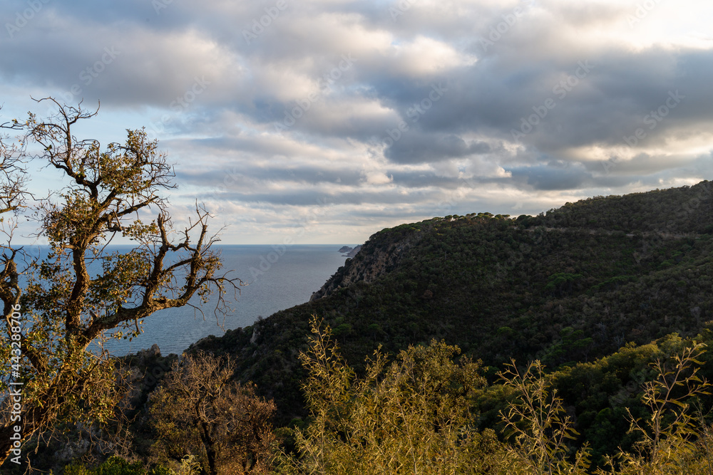Obraz premium Mediterranean coast seen from the cliffs