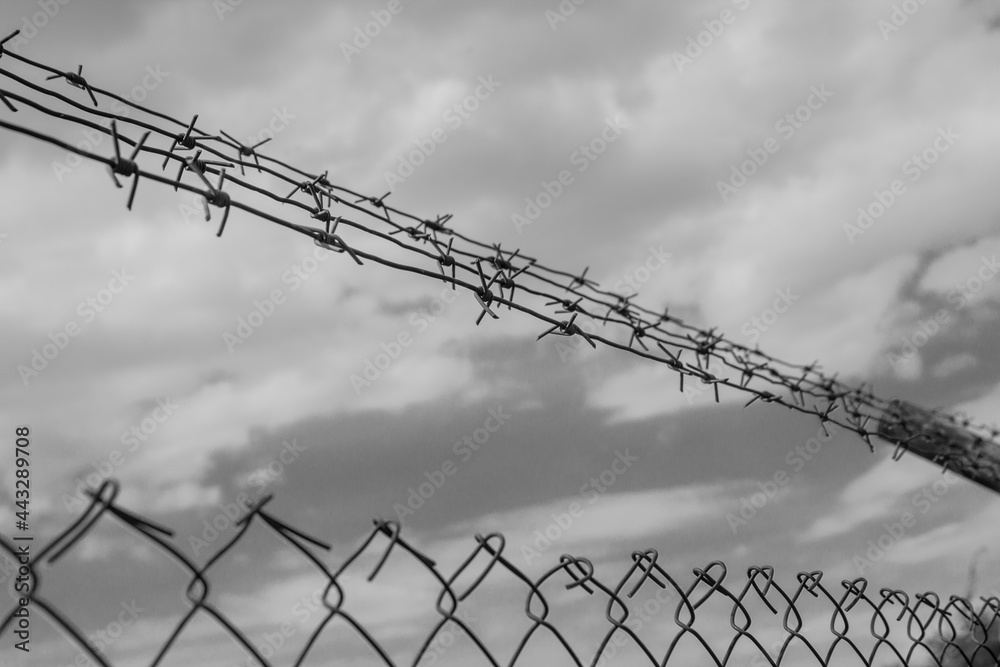 Barbwire on a fence in front of a cloudy sky. Monochrome photo Barbwire on a fence in front of a cloudy sky. Monochrome photo