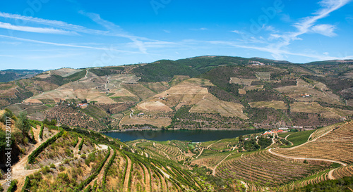 Panoramic of vineyards on the Douro River, Portugal