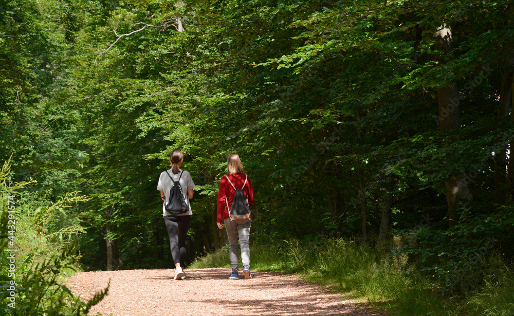 Fototapeta premium zwei mädchen gehen auf einem waldweg