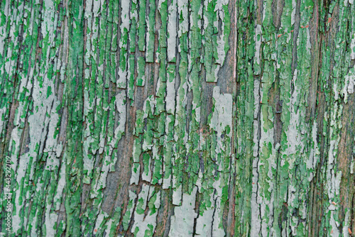 Textured green wood with grain
