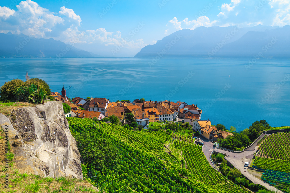 Rivaz village and vineyards on the lake shore, Switzerland