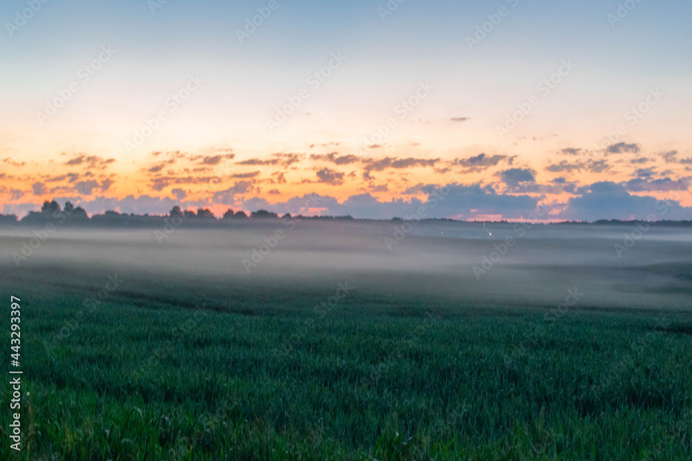 sunrise over the field