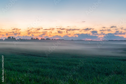 sunrise over the field