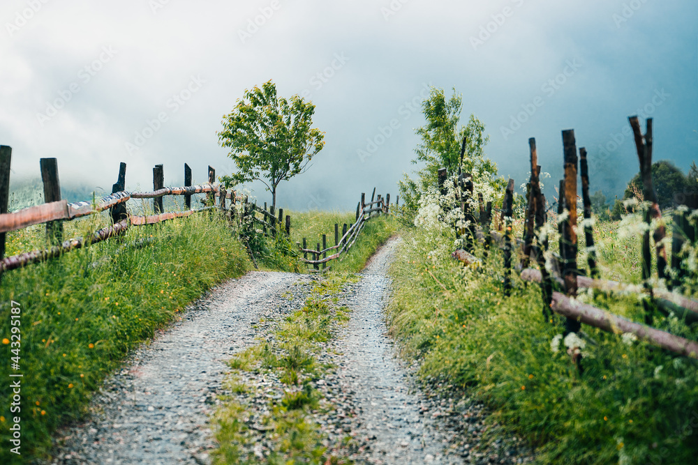 landscape with fence and road on foggy mountain